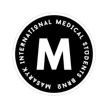 MIMSA logo